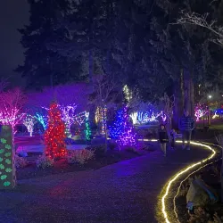 Everett Arboretum - Brier