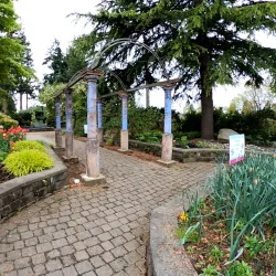 Everett Arboretum - Brier