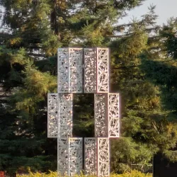 Everett Arboretum - Brier