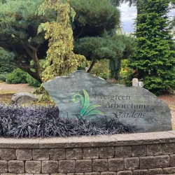 Everett Arboretum - Brier