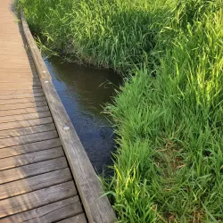 North Creek Park - Brier