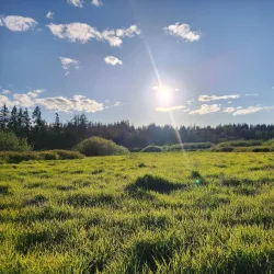 North Creek Park - Brier