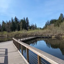 Scriber Lake Park - Brier