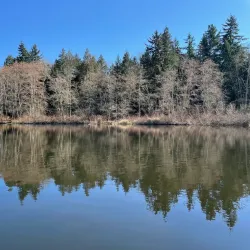 Scriber Lake Park - Brier