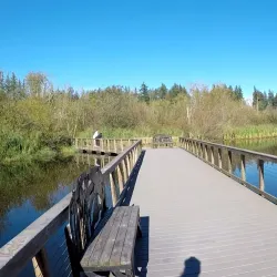 Scriber Lake Park - Brier