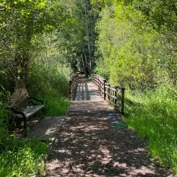 Scriber Lake Park - Brier