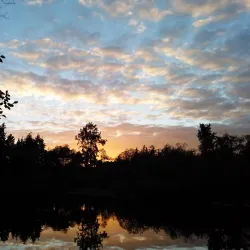 Scriber Lake Park - Brier