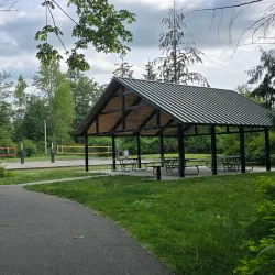 Willis Tucker Park - Brier