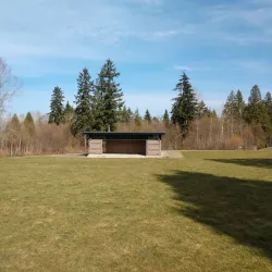 Willis Tucker Park - Brier