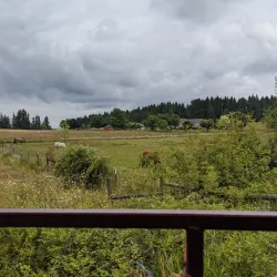 Chehalis-Centralia Railroad - Chehalis