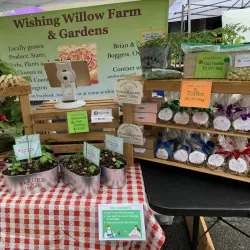 Chehalis Farmers Market - Chehalis