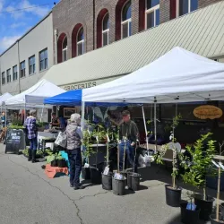 Chehalis Farmers Market - Chehalis