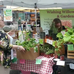 Chehalis Farmers Market - Chehalis