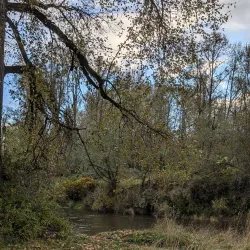 Stan Hedwall Park - Chehalis