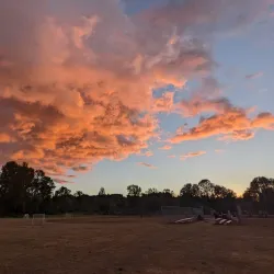 Stan Hedwall Park - Chehalis