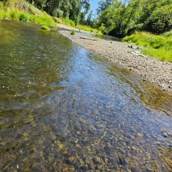 Stan Hedwall Park - Chehalis