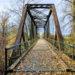 Willapa Hills Trail - Chehalis