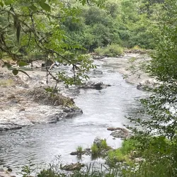 Willapa Hills Trail - Chehalis