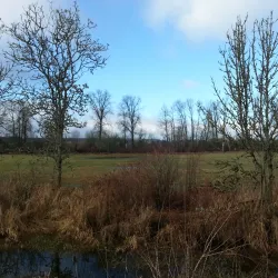 Willapa Hills Trail - Chehalis