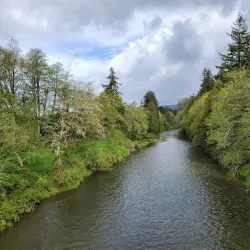 Willapa Hills Trail - Chehalis