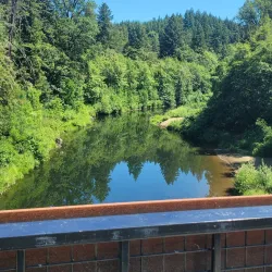 Willapa Hills Trail - Chehalis