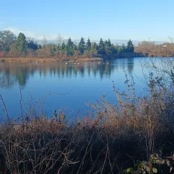 Willapa Hills Trail - Chehalis