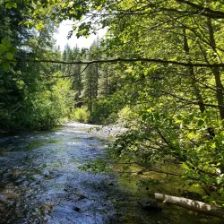 Cle Elum River Trail - Cle Elum