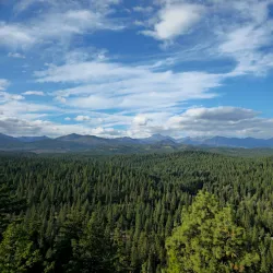 Teanaway Community Forest - Cle Elum