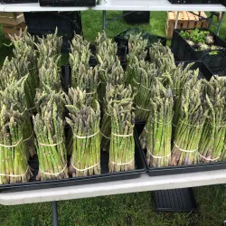 DuPont Farmers Market - DuPont