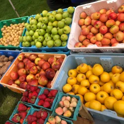 DuPont Farmers Market - DuPont