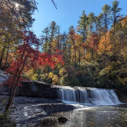 DuPont State Forest - DuPont