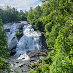 DuPont State Forest - DuPont