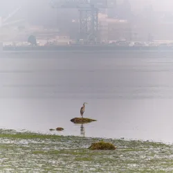 Puget Sound Naval Shipyard - DuPont