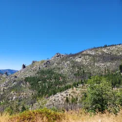 Wright's Lake Park - DuPont