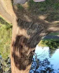 Big Rock Park - Duvall