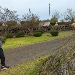 Big Rock Park - Duvall