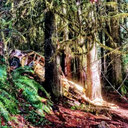 Cherry Valley Park - Duvall