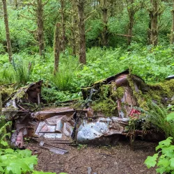 Cherry Valley Park - Duvall