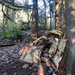 Cherry Valley Park - Duvall