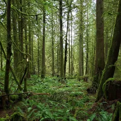 Cherry Valley Park - Duvall