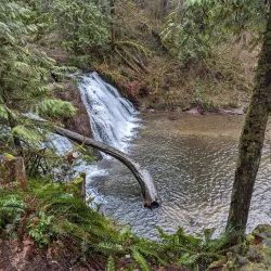 Cherry Valley Park - Duvall