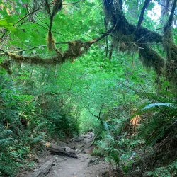 Cherry Valley Park - Duvall