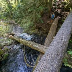 Cherry Valley Park - Duvall