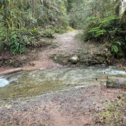 Cherry Valley Park - Duvall