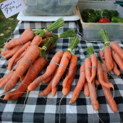 Duvall Farmers Market - Duvall