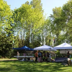 Duvall Farmers Market - Duvall
