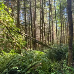 Paradise Valley Conservation Area - Duvall