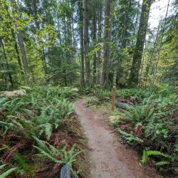 Paradise Valley Conservation Area - Duvall