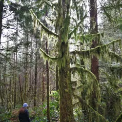 Paradise Valley Conservation Area - Duvall