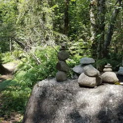 Paradise Valley Conservation Area - Duvall